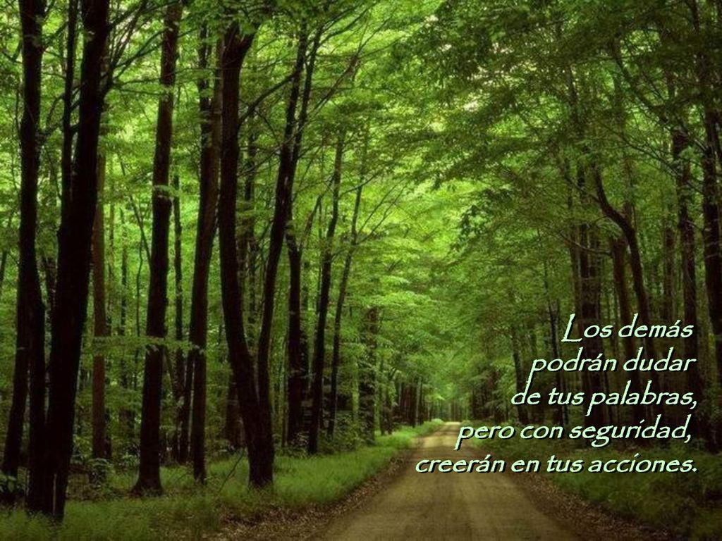 Los demás podrán dudar de tus palabras, pero con seguridad, creerán en tus acciones.