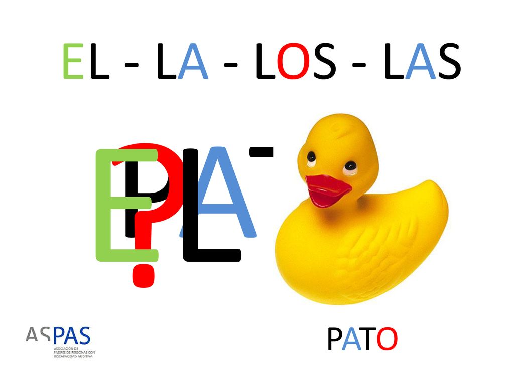 EL - LA - LOS - LAS EL PATO PATO