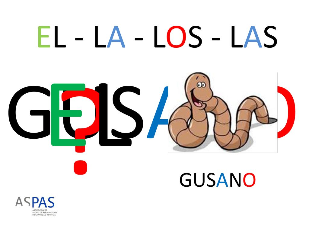 EL - LA - LOS - LAS EL GUSANO GUSANO