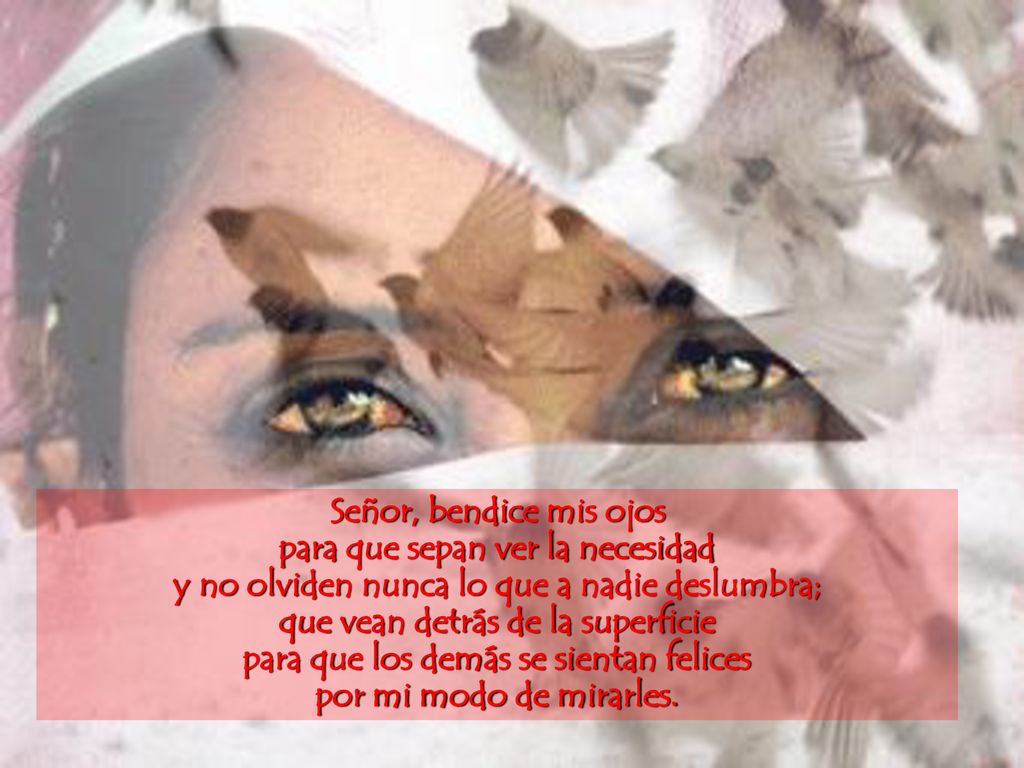 Señor, bendice mis ojos para que sepan ver la necesidad y no olviden nunca lo que a nadie deslumbra; que vean detrás de la superficie para que los demás se sientan felices por mi modo de mirarles.