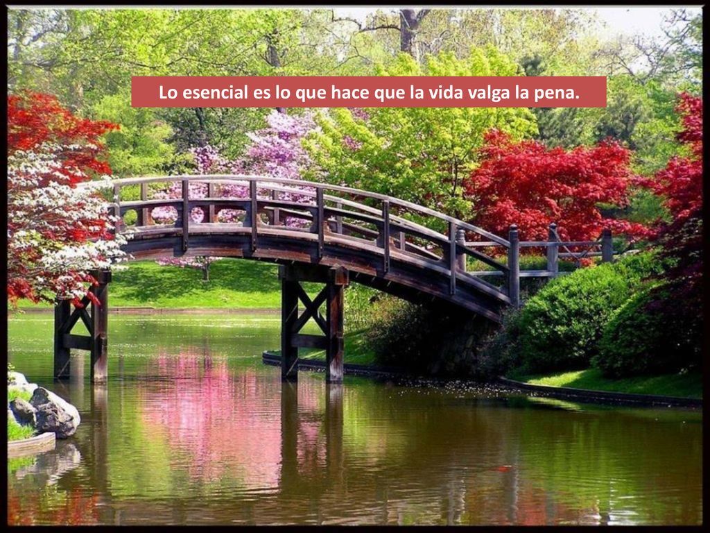 Lo esencial es lo que hace que la vida valga la pena.