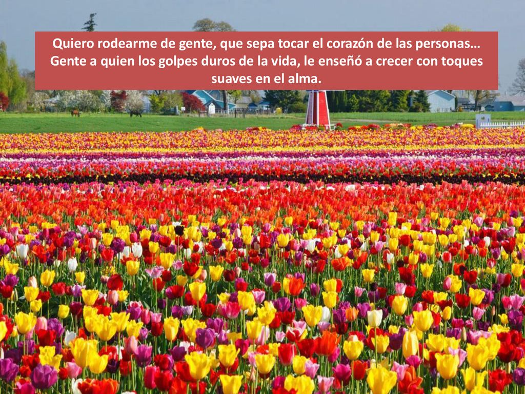 Quiero rodearme de gente, que sepa tocar el corazón de las personas… Gente a quien los golpes duros de la vida, le enseñó a crecer con toques suaves en el alma.