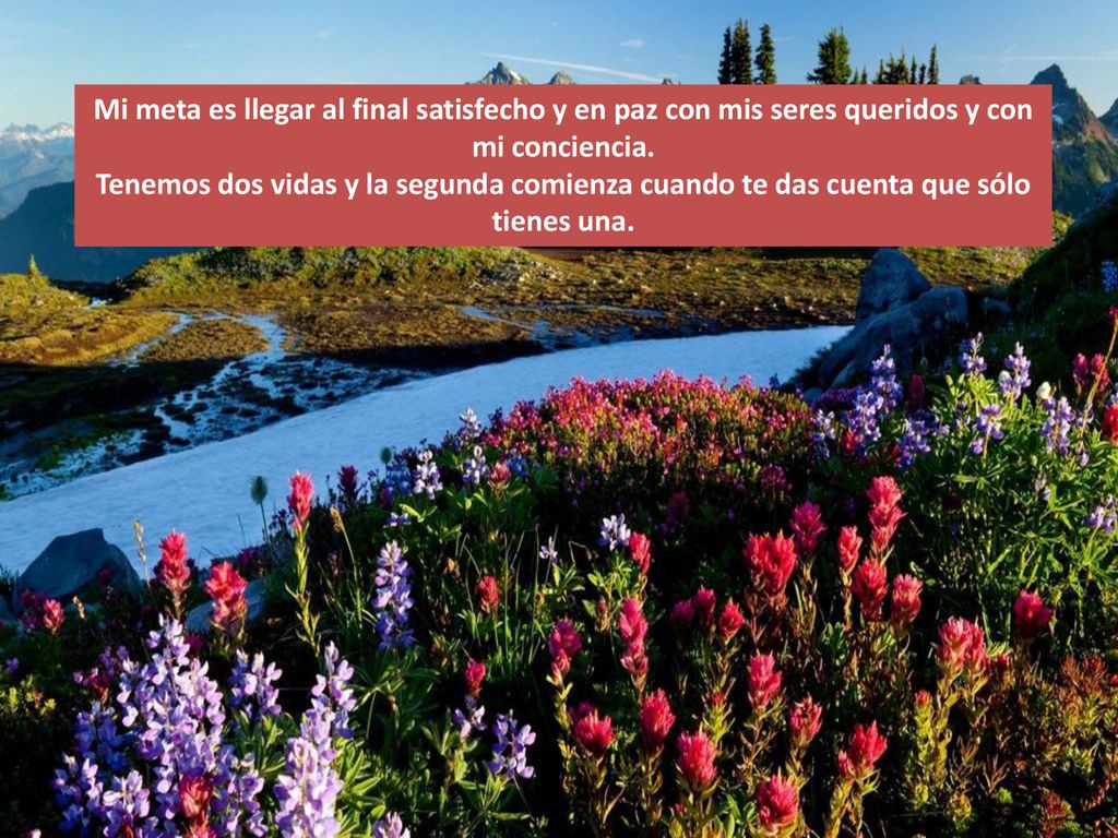 Mi meta es llegar al final satisfecho y en paz con mis seres queridos y con mi conciencia.