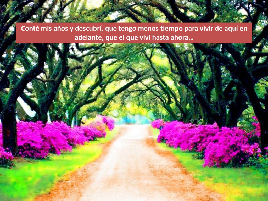Conté mis años y descubrí, que tengo menos tiempo para vivir de aquí en adelante, que el que viví hasta ahora…