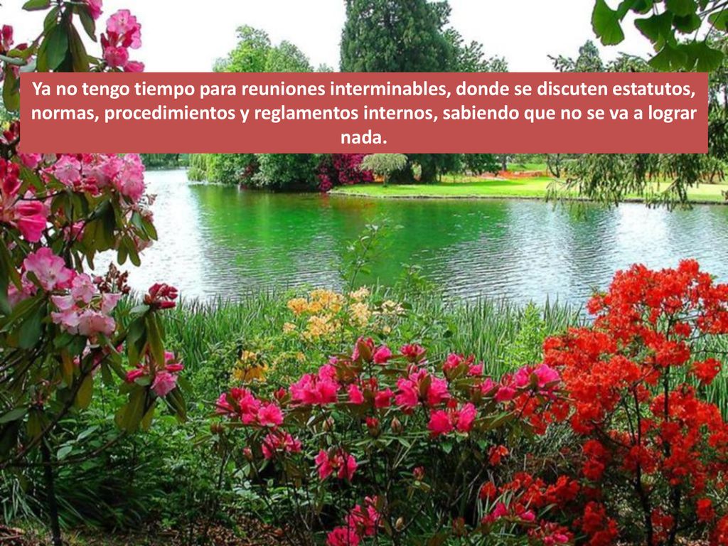 Ya no tengo tiempo para reuniones interminables, donde se discuten estatutos, normas, procedimientos y reglamentos internos, sabiendo que no se va a lograr nada.