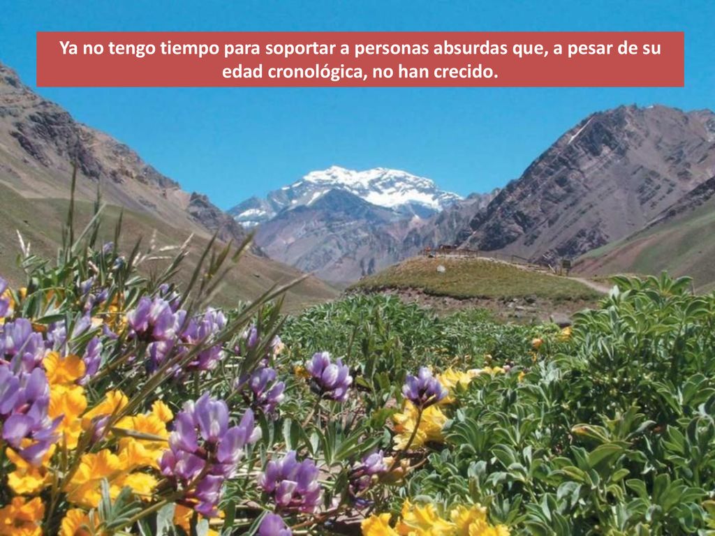Ya no tengo tiempo para soportar a personas absurdas que, a pesar de su edad cronológica, no han crecido.