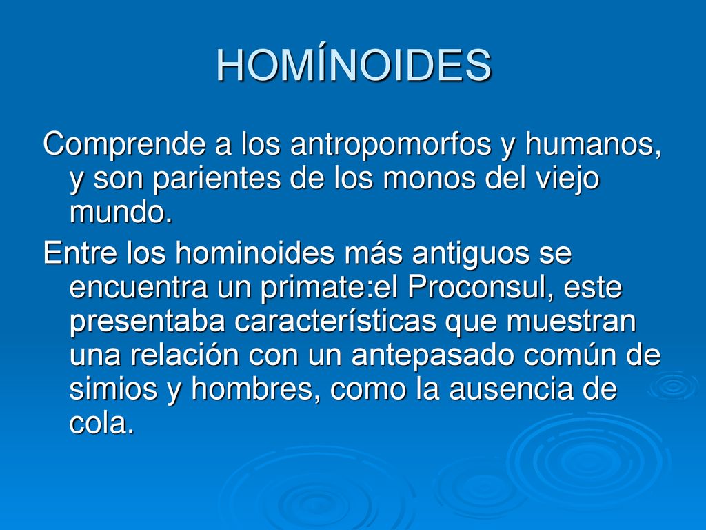 HOMÍNOIDES Comprende a los antropomorfos y humanos, y son parientes de los monos del viejo mundo.