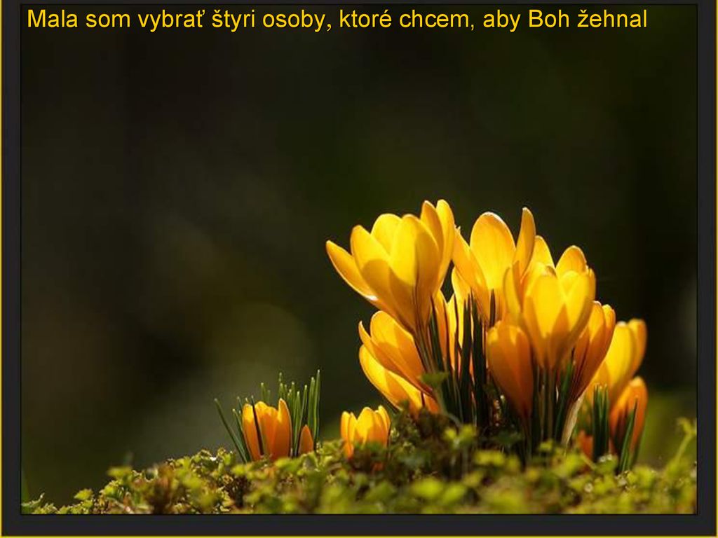 Mala som vybrať štyri osoby, ktoré chcem, aby Boh žehnal