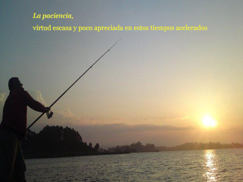 La paciencia, virtud escasa y poco apreciada en estos tiempos acelerados