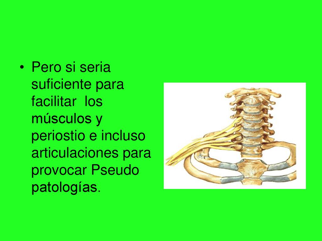 Pero si seria suficiente para facilitar los músculos y periostio e incluso articulaciones para provocar Pseudo patologías.