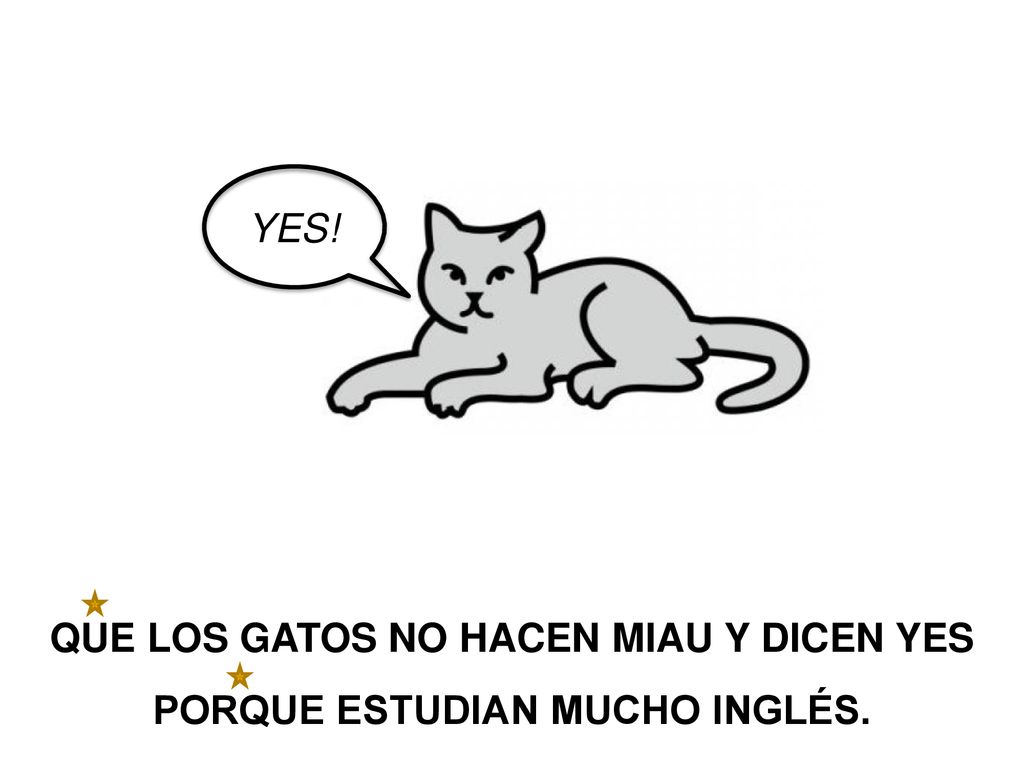 QUE LOS GATOS NO HACEN MIAU Y DICEN YES PORQUE ESTUDIAN MUCHO INGLÉS.