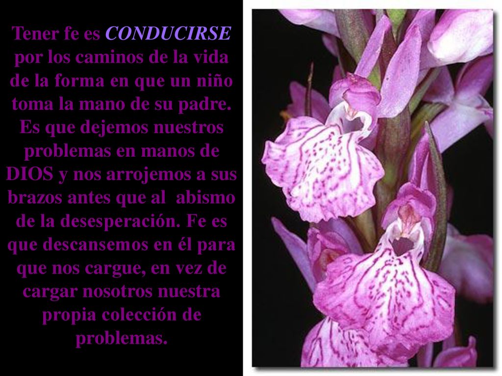 Tener fe es CONDUCIRSE por los caminos de la vida de la forma en que un niño toma la mano de su padre.