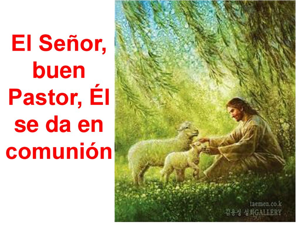El Señor, buen Pastor, Él se da en comunión