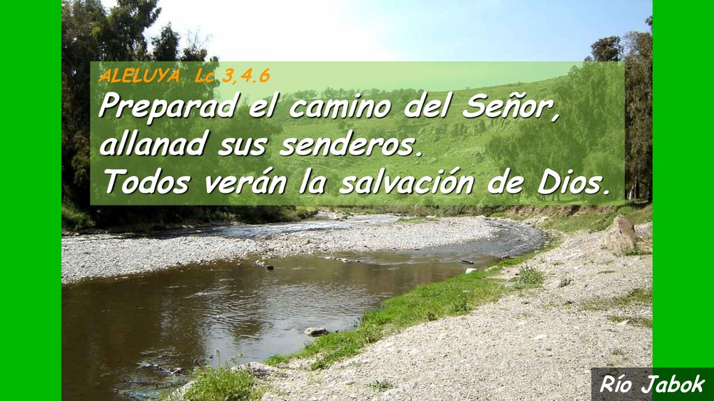 ALELUYA Lc 3,4.6 Preparad el camino del Señor, allanad sus senderos. Todos verán la salvación de Dios.