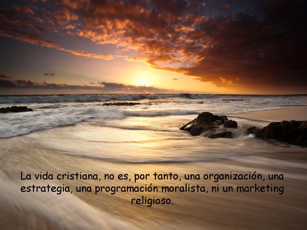 La vida cristiana, no es, por tanto, una organización, una estrategia, una programación moralista, ni un marketing religioso.
