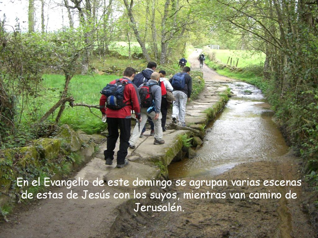 En el Evangelio de este domingo se agrupan varias escenas de estas de Jesús con los suyos, mientras van camino de Jerusalén.