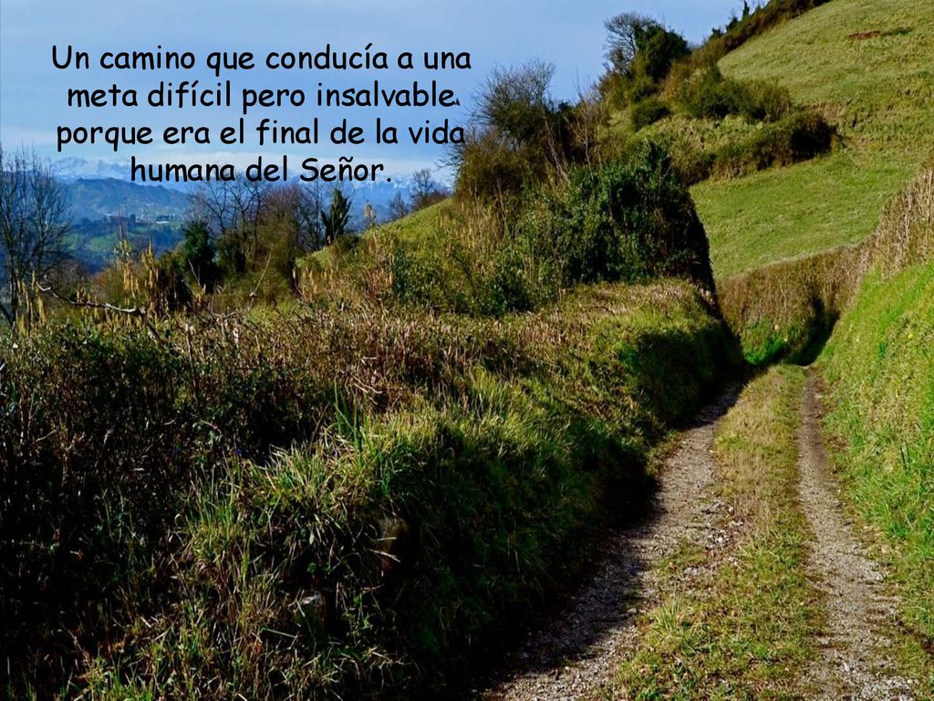 Un camino que conducía a una meta difícil pero insalvable porque era el final de la vida humana del Señor.