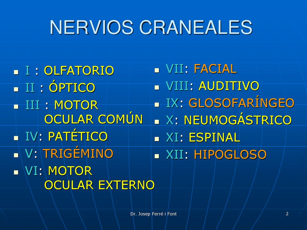 NERVIOS CRANEALES VII: FACIAL I : OLFATORIO VIII: AUDITIVO II : ÓPTICO