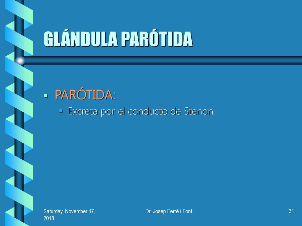 GLÁNDULA PARÓTIDA PARÓTIDA: Excreta por el conducto de Stenon.