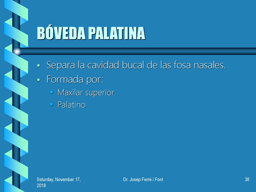 BÓVEDA PALATINA Separa la cavidad bucal de las fosa nasales.