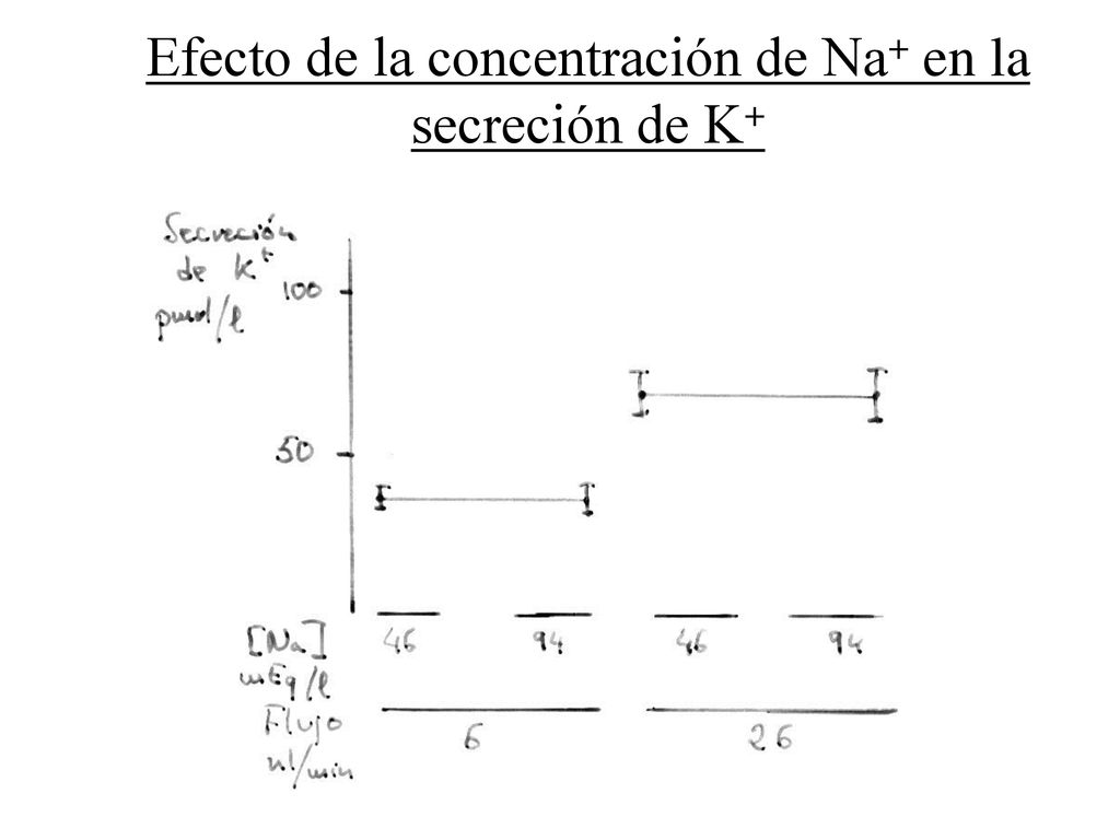 Efecto de la concentración de Na+ en la secreción de K+