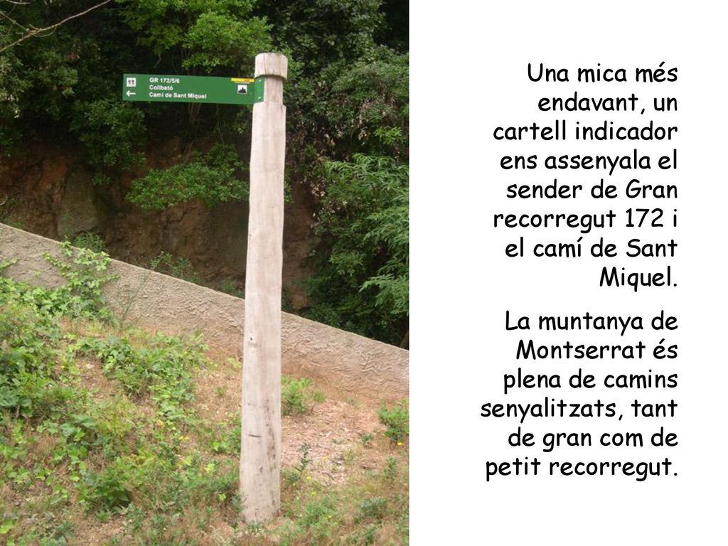Una mica més endavant, un cartell indicador ens assenyala el sender de Gran recorregut 172 i el camí de Sant Miquel.