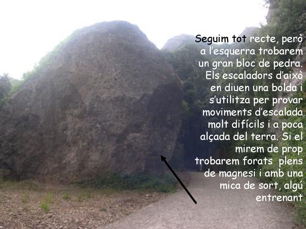 Seguim tot recte, però a l’esquerra trobarem un gran bloc de pedra