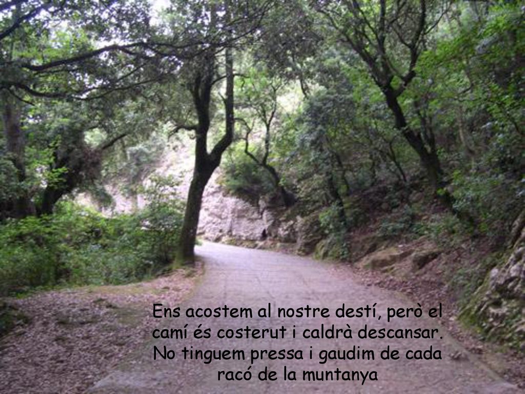 Ens acostem al nostre destí, però el camí és costerut i caldrà descansar.