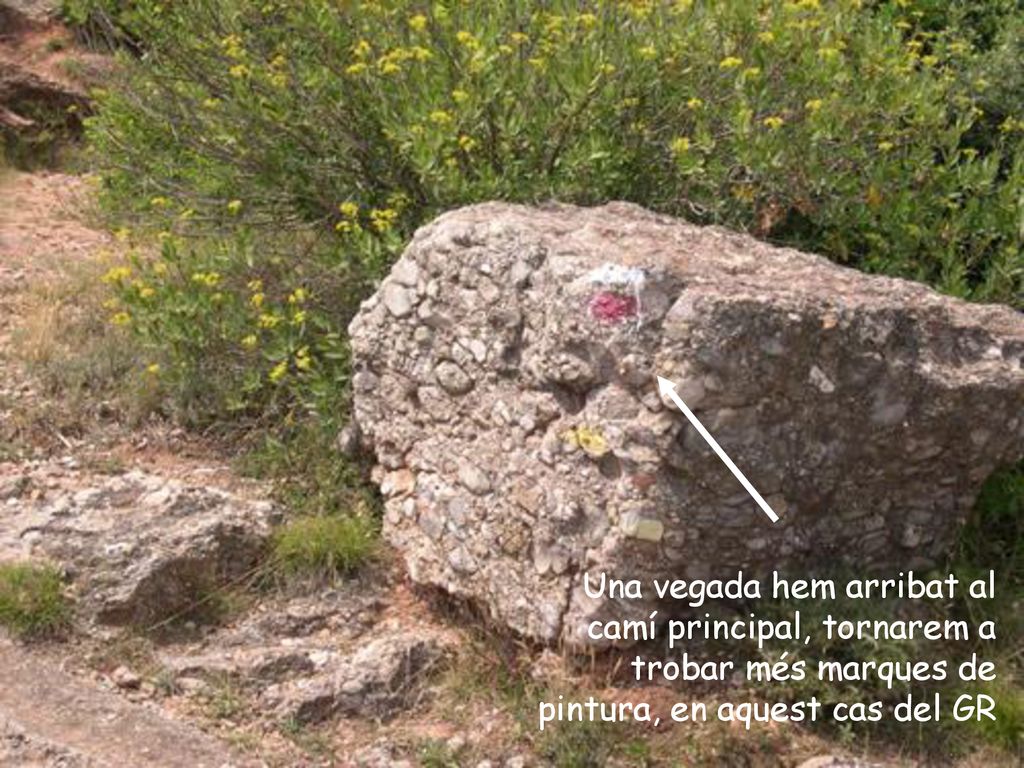 Una vegada hem arribat al camí principal, tornarem a trobar més marques de pintura, en aquest cas del GR