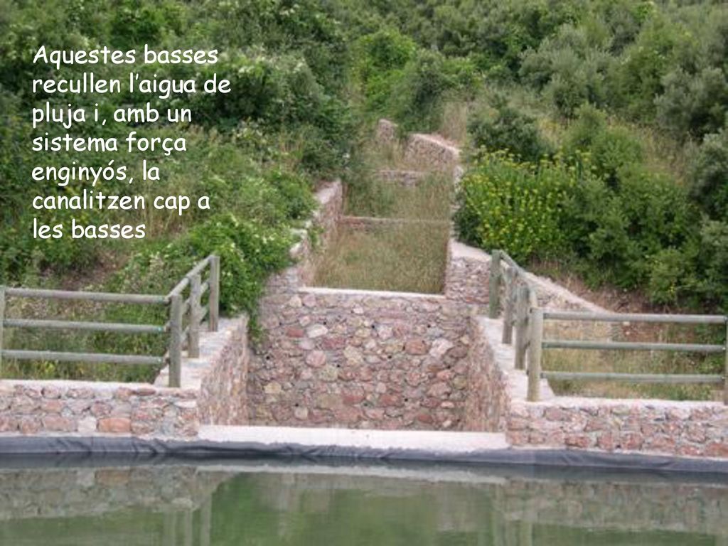 Aquestes basses recullen l’aigua de pluja i, amb un sistema força enginyós, la canalitzen cap a les basses