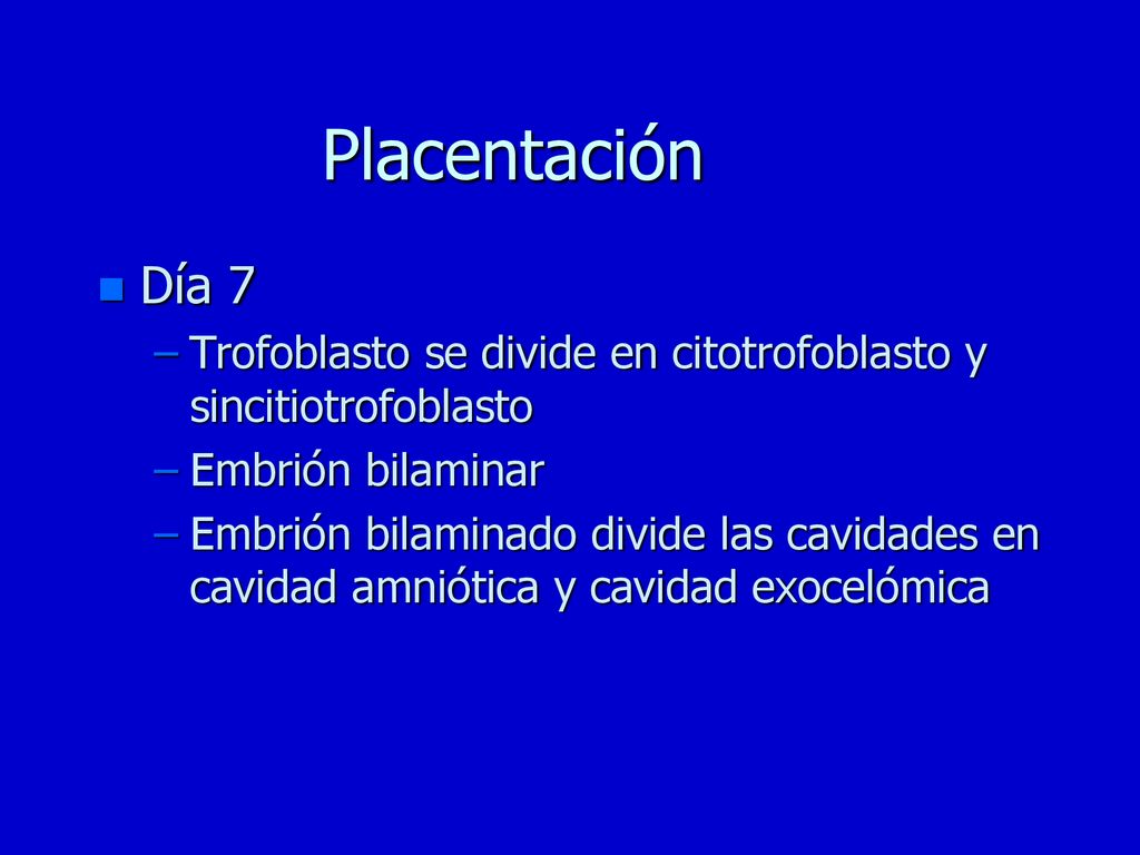 Placentación Día 7. Trofoblasto se divide en citotrofoblasto y sincitiotrofoblasto. Embrión bilaminar.