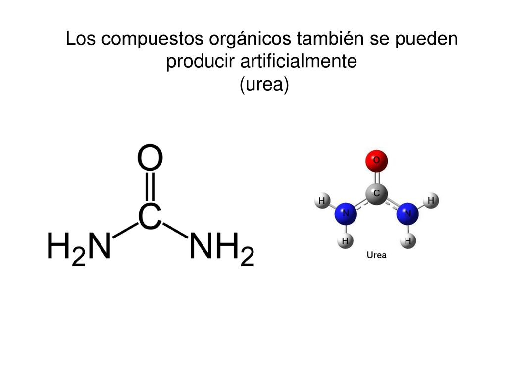 Los compuestos orgánicos también se pueden producir artificialmente (urea)