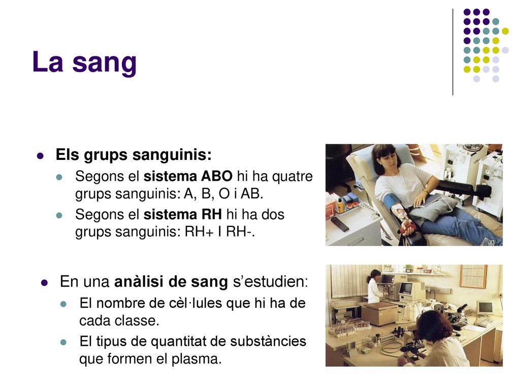 La sang Els grups sanguinis: En una anàlisi de sang s’estudien: