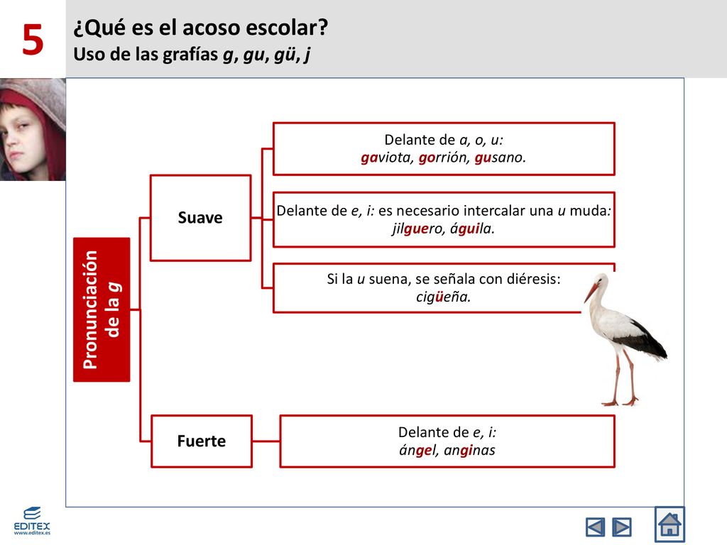 ¿Qué es el acoso escolar Uso de las grafías g, gu, gü, j