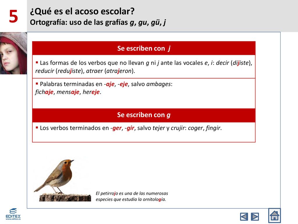 ¿Qué es el acoso escolar Ortografía: uso de las grafías g, gu, gü, j