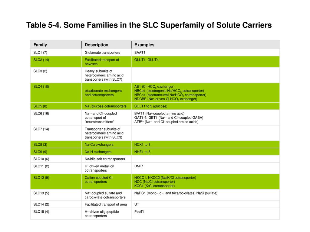Table 5-4. Some Families in the SLC Superfamily of Solute Carriers