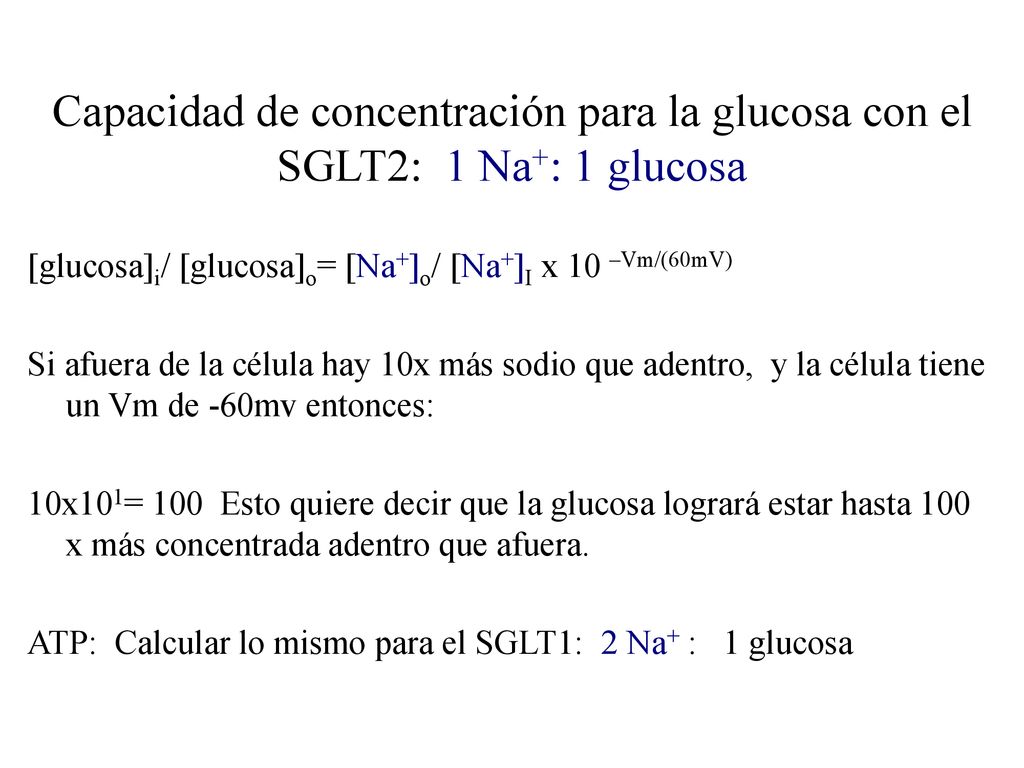 Capacidad de concentración para la glucosa con el SGLT2: 1 Na+: 1 glucosa