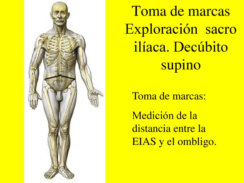 Toma de marcas Exploración sacro ilíaca. Decúbito supino