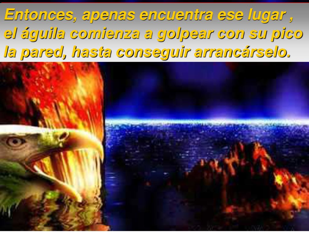 Entonces, apenas encuentra ese lugar , el águila comienza a golpear con su pico la pared, hasta conseguir arrancárselo.
