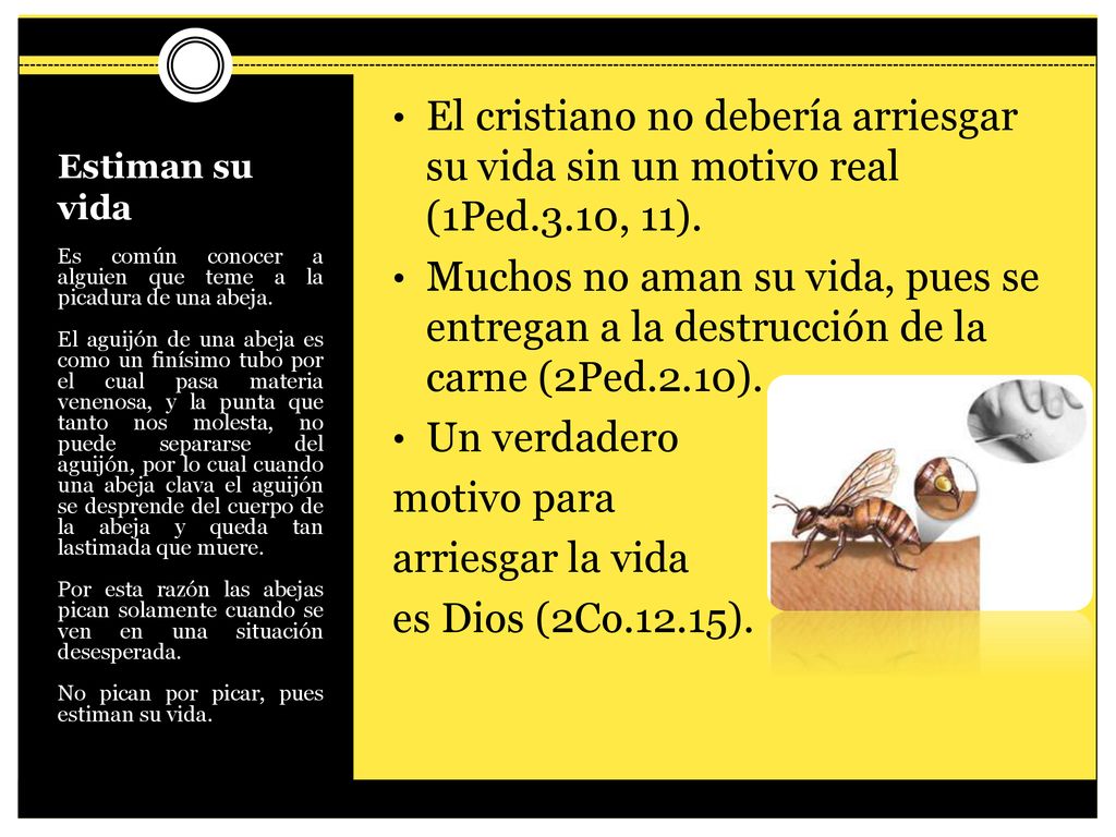 El cristiano no debería arriesgar su vida sin un motivo real (1Ped. 3