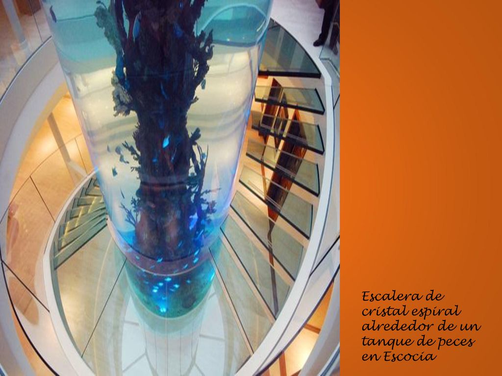 Escalera de cristal espiral alrededor de un tanque de peces en Escocia