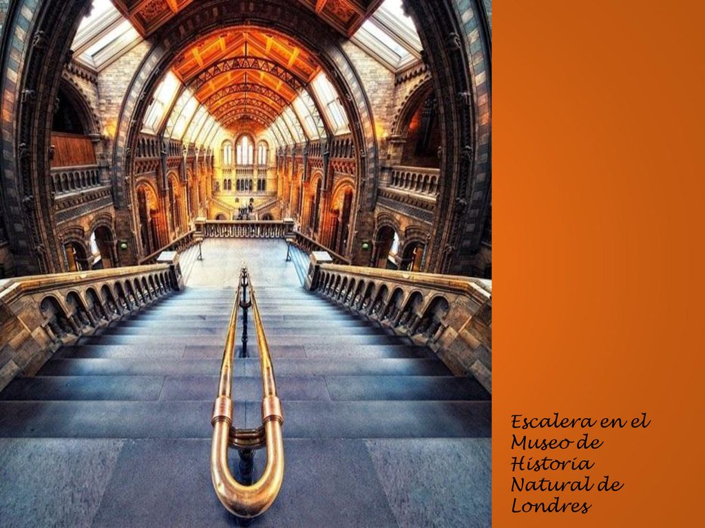 Escalera en el Museo de Historia Natural de Londres