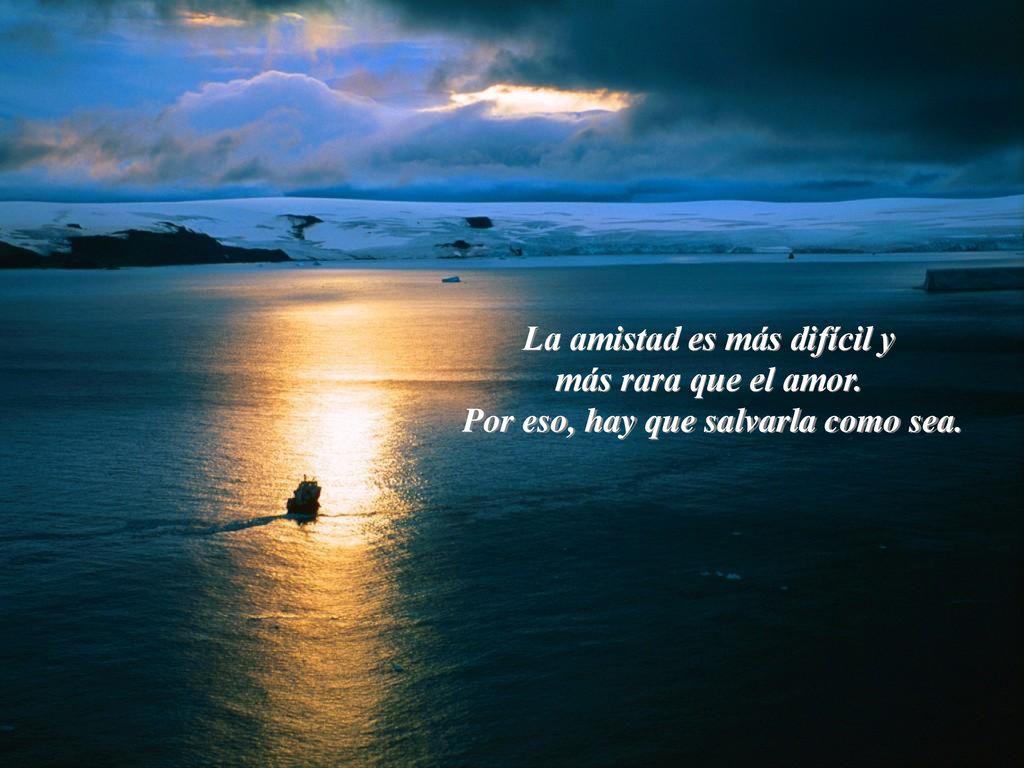 La amistad es más difícil y Por eso, hay que salvarla como sea.