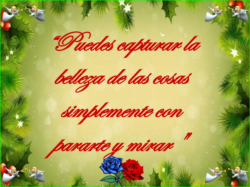 Puedes capturar la belleza de las cosas simplemente con pararte y mirar