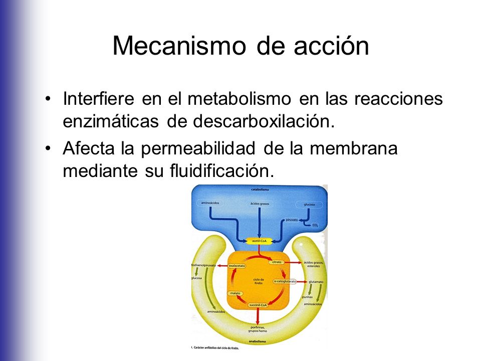 Mecanismo de acción Interfiere en el metabolismo en las reacciones enzimáticas de descarboxilación.