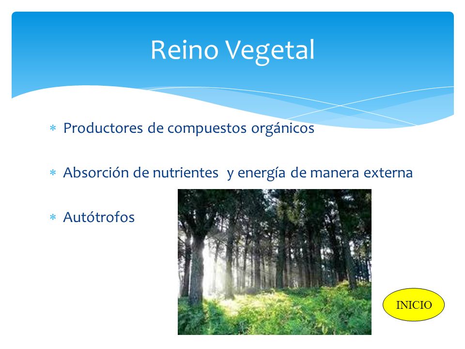 Reino Vegetal Productores de compuestos orgánicos
