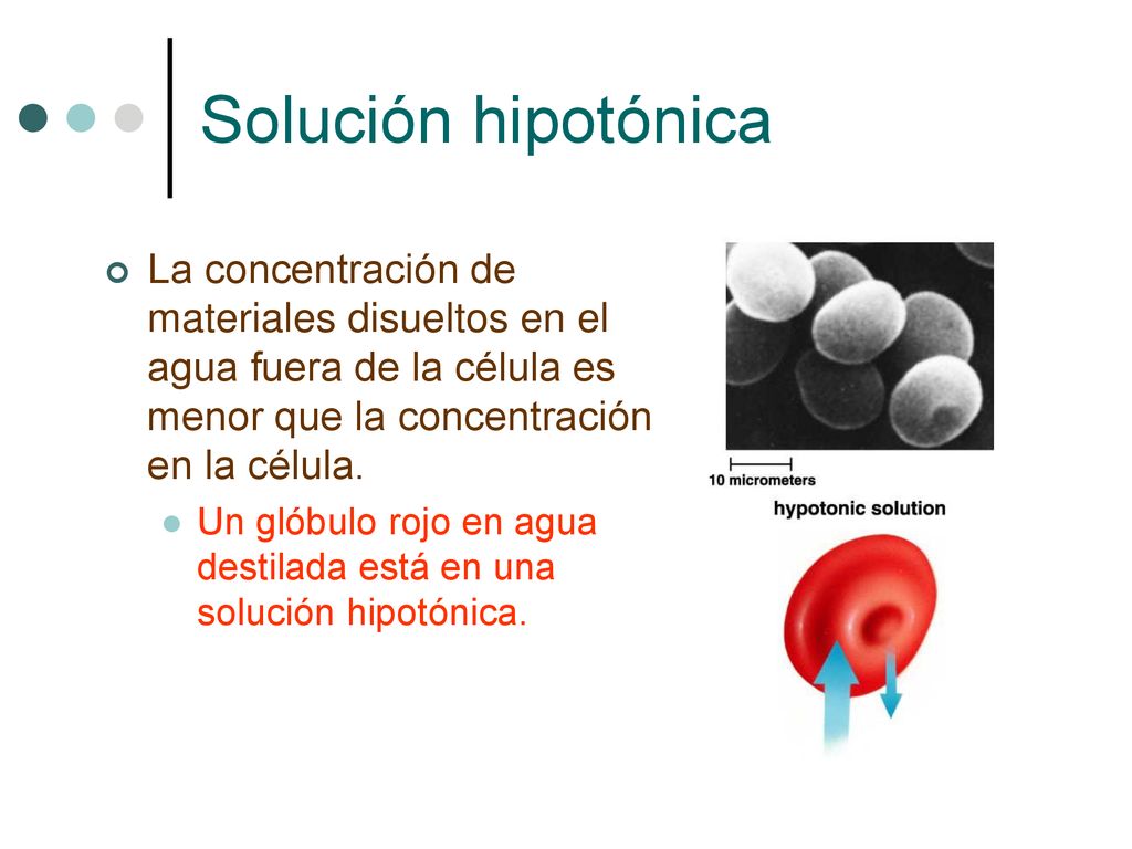 Solución hipotónica La concentración de materiales disueltos en el agua fuera de la célula es menor que la concentración en la célula.