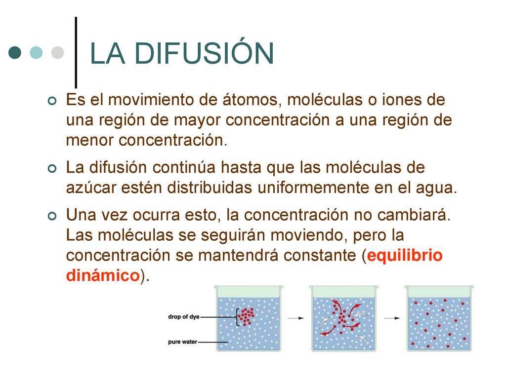 LA DIFUSIÓN Es el movimiento de átomos, moléculas o iones de una región de mayor concentración a una región de menor concentración.
