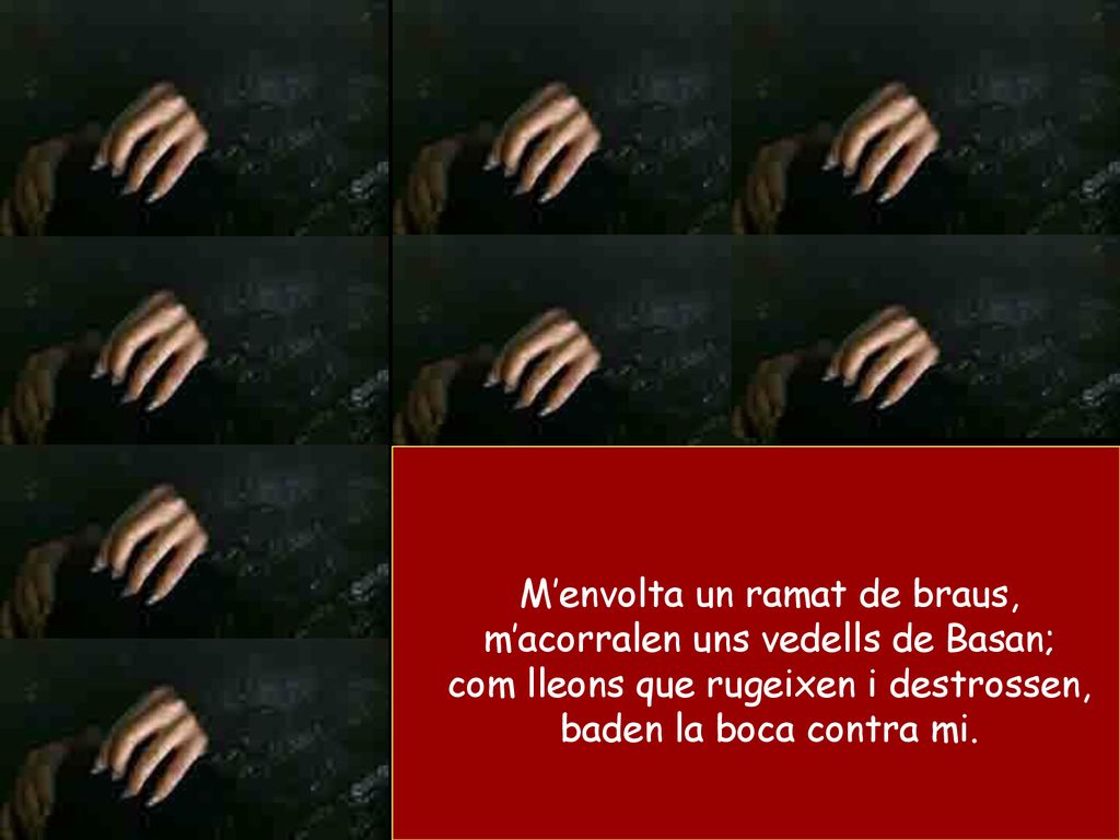 M’envolta un ramat de braus, m’acorralen uns vedells de Basan;