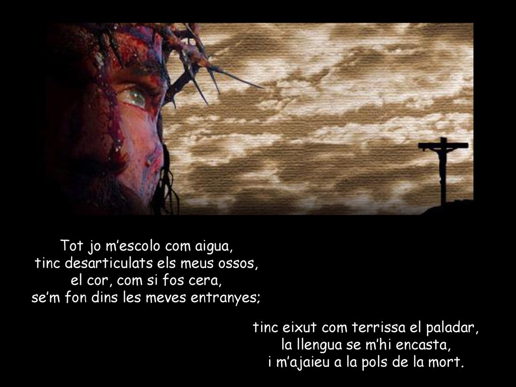 Tot jo m’escolo com aigua, tinc desarticulats els meus ossos,